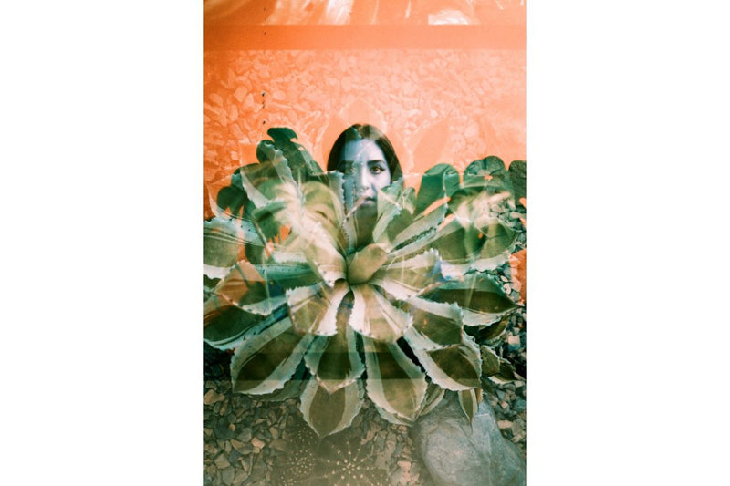 Lomography Turquoise 135mm Film (36exp)