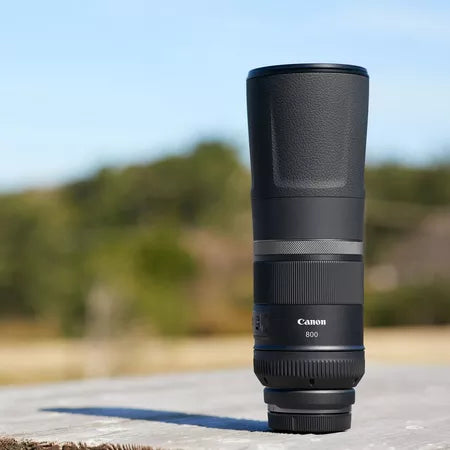 RF 800mm F11 IS STM Lens