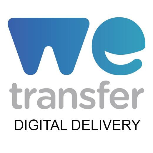 Digital Delivery via WeTransfer (ONLY ADD IN ADDITION TO DEVELOPMENT)