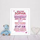 A3 Poster: Text with Pink Bird