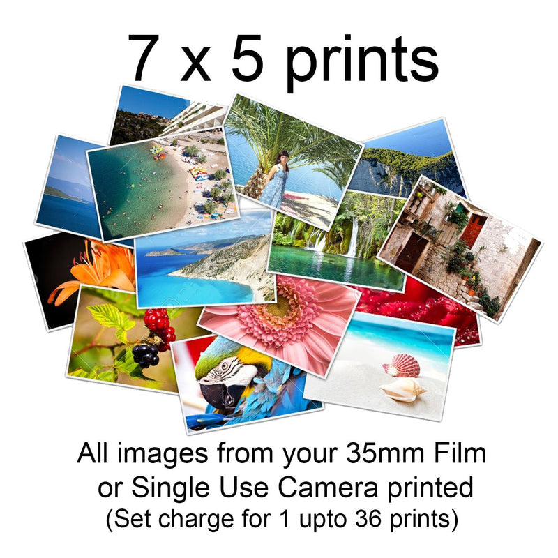Develop + Print + Digital Delivery from (single use camera or 35mm film)